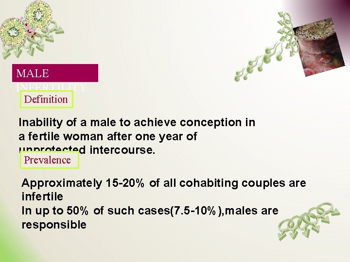 MALE INFERTILITY Definition Inability of a male to achieve conception in a fertile woman