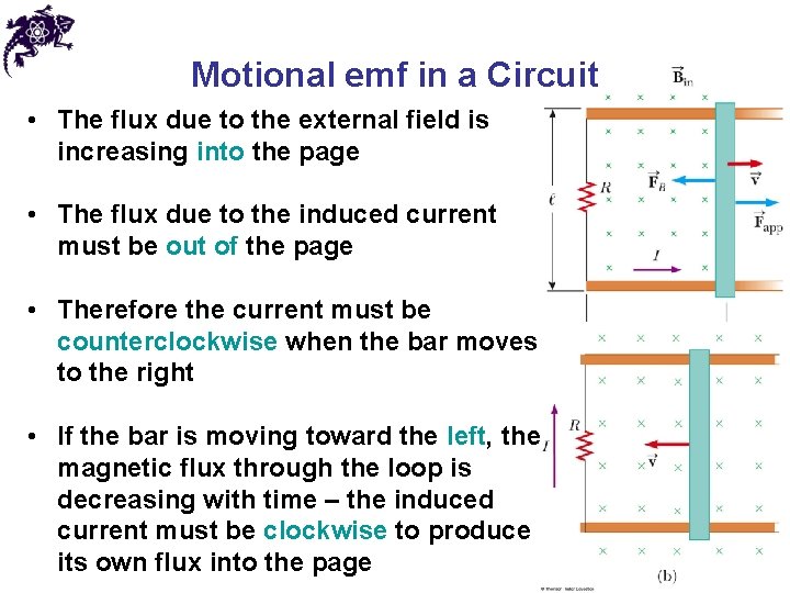 Motional emf in a Circuit • The flux due to the external field is