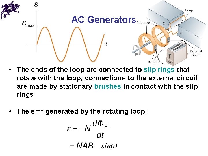 AC Generators • The ends of the loop are connected to slip rings that