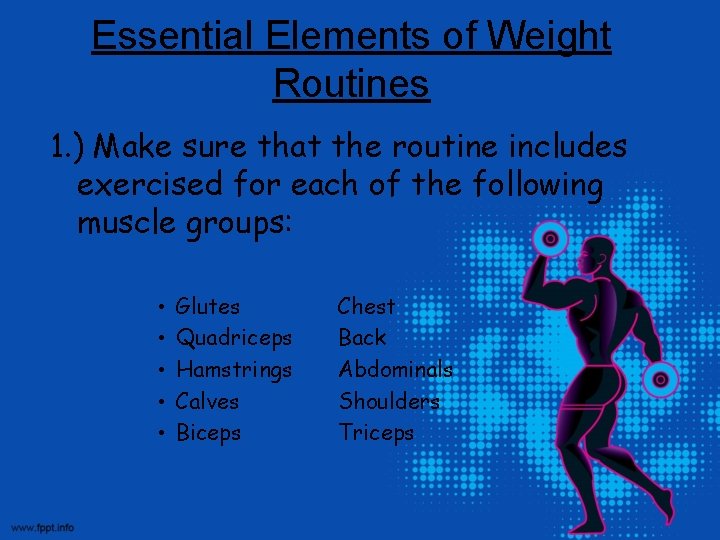 Essential Elements of Weight Routines 1. ) Make sure that the routine includes exercised