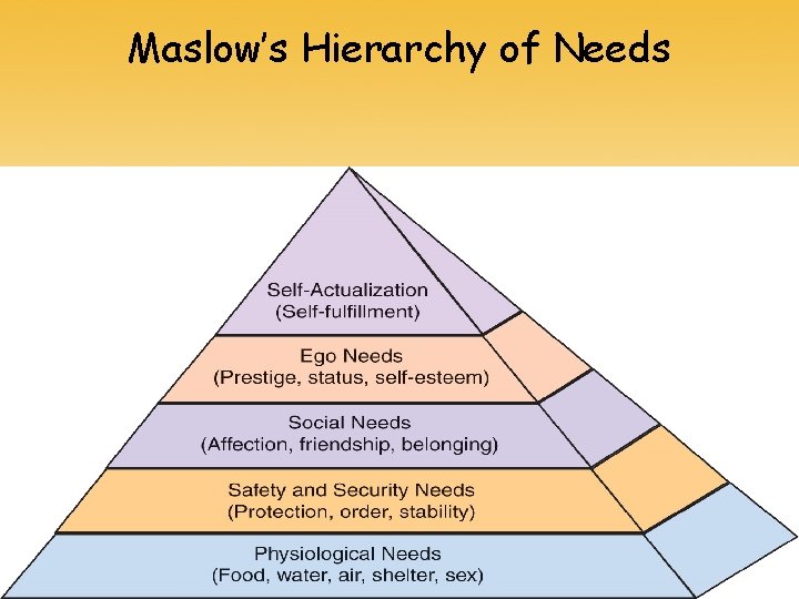 Maslow’s Hierarchy of Needs 