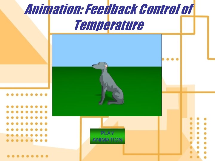 Animation: Feedback Control of Temperature PLAY ANIMATION 