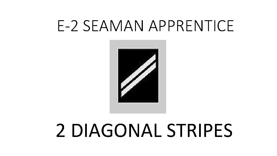 E-2 SEAMAN APPRENTICE 2 DIAGONAL STRIPES 