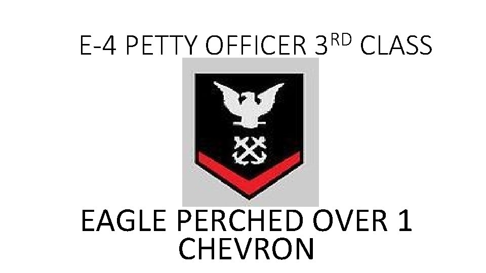 E-4 PETTY OFFICER RD 3 CLASS EAGLE PERCHED OVER 1 CHEVRON 