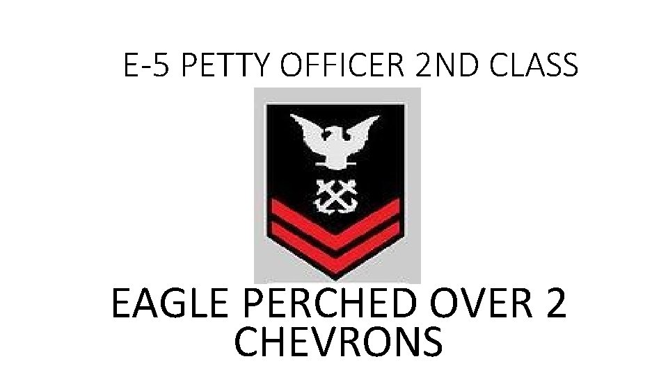 E-5 PETTY OFFICER 2 ND CLASS EAGLE PERCHED OVER 2 CHEVRONS 