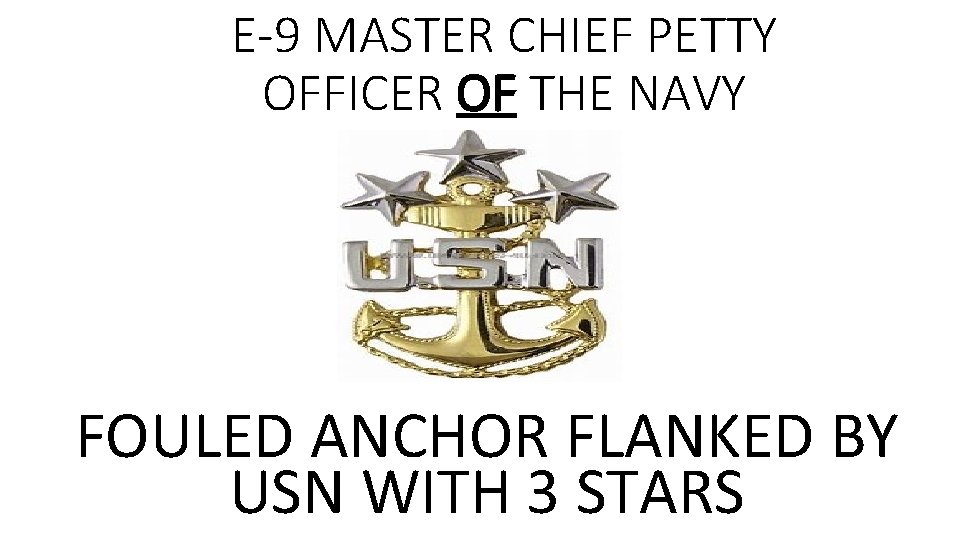 E-9 MASTER CHIEF PETTY OFFICER OF THE NAVY FOULED ANCHOR FLANKED BY USN WITH