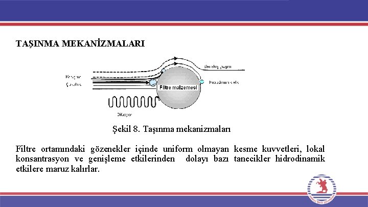 TAŞINMA MEKANİZMALARI Şekil 8. Taşınma mekanizmaları Filtre ortamındaki gözenekler içinde uniform olmayan kesme kuvvetleri,