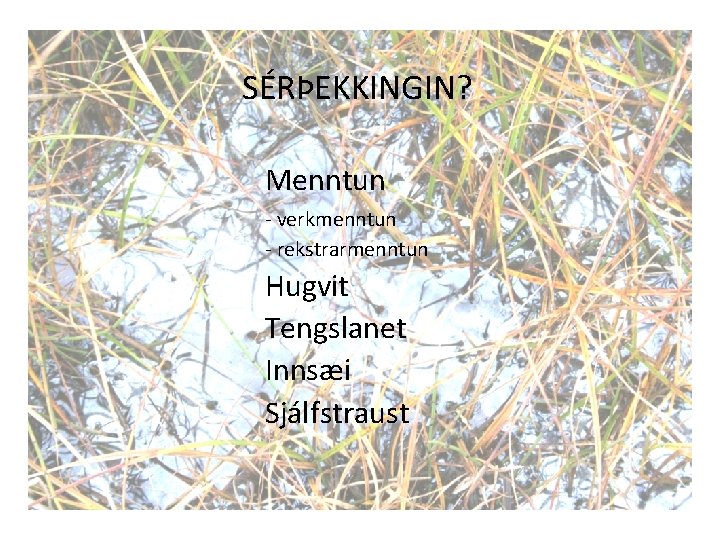 SÉRÞEKKINGIN? Menntun - verkmenntun - rekstrarmenntun Hugvit Tengslanet Innsæi Sjálfstraust 