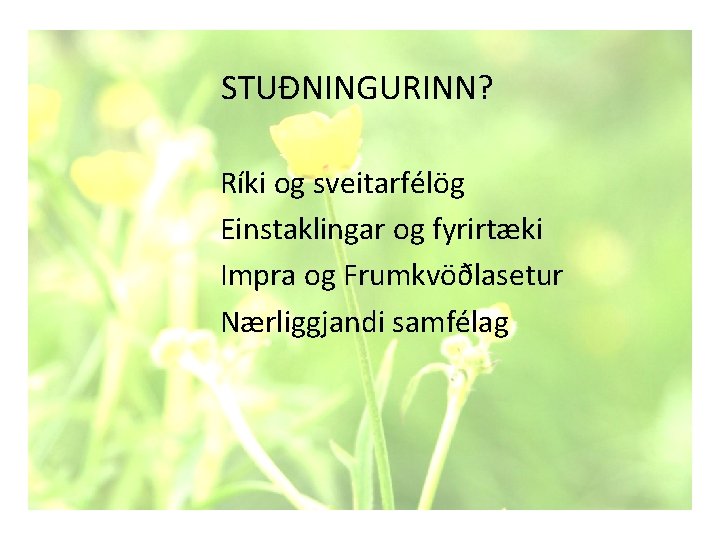 STUÐNINGURINN? Ríki og sveitarfélög Einstaklingar og fyrirtæki Impra og Frumkvöðlasetur Nærliggjandi samfélag 