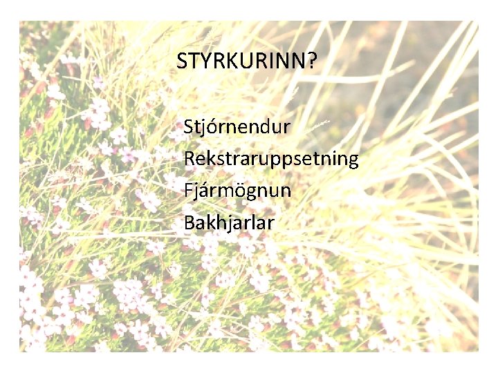 STYRKURINN? Stjórnendur Rekstraruppsetning Fjármögnun Bakhjarlar 