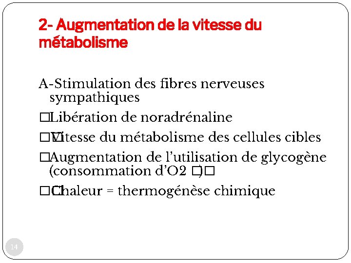 2 - Augmentation de la vitesse du métabolisme A-Stimulation des fibres nerveuses sympathiques �Libération