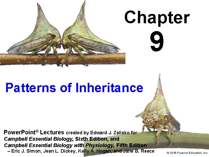 Chapter 9 Patterns of Inheritance Power. Point® Lectures created by Edward J. Zalisko for