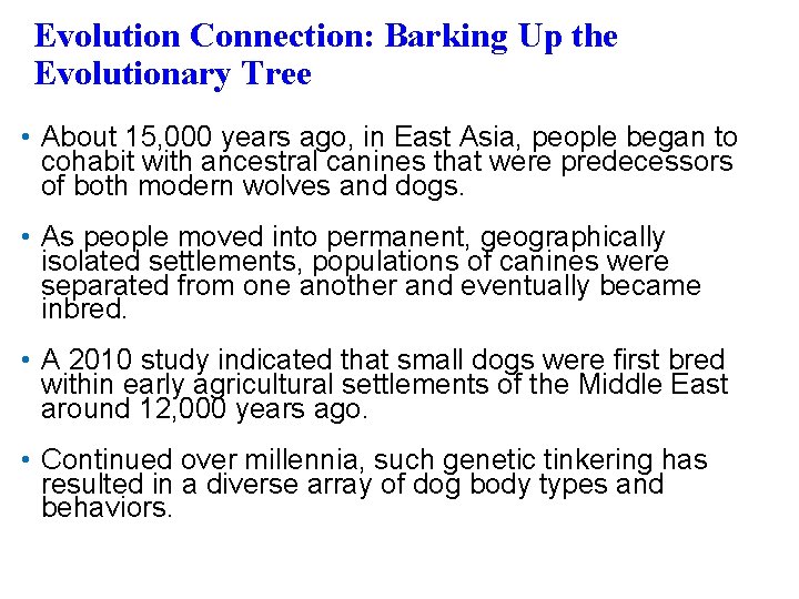 Evolution Connection: Barking Up the Evolutionary Tree • About 15, 000 years ago, in