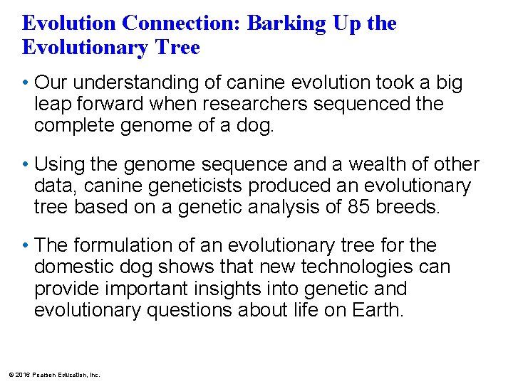 Evolution Connection: Barking Up the Evolutionary Tree • Our understanding of canine evolution took