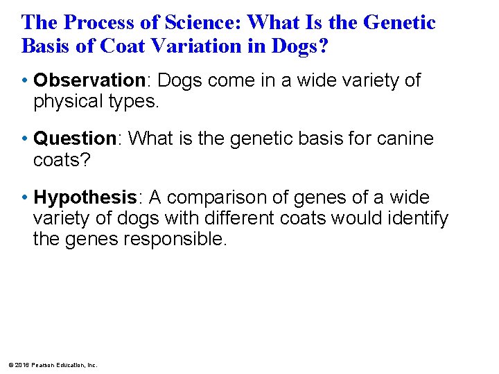 The Process of Science: What Is the Genetic Basis of Coat Variation in Dogs?