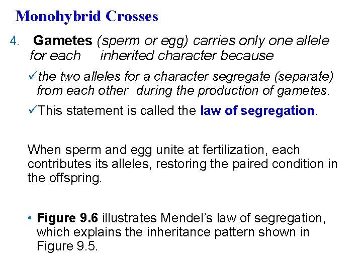 Monohybrid Crosses 4. Gametes (sperm or egg) carries only one allele for each inherited