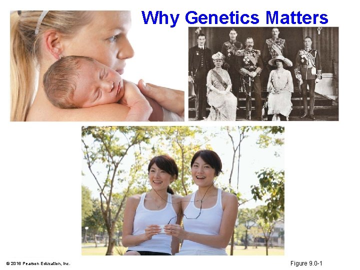 Why Genetics Matters © 2016 Pearson Education, Inc. Figure 9. 0 -1 