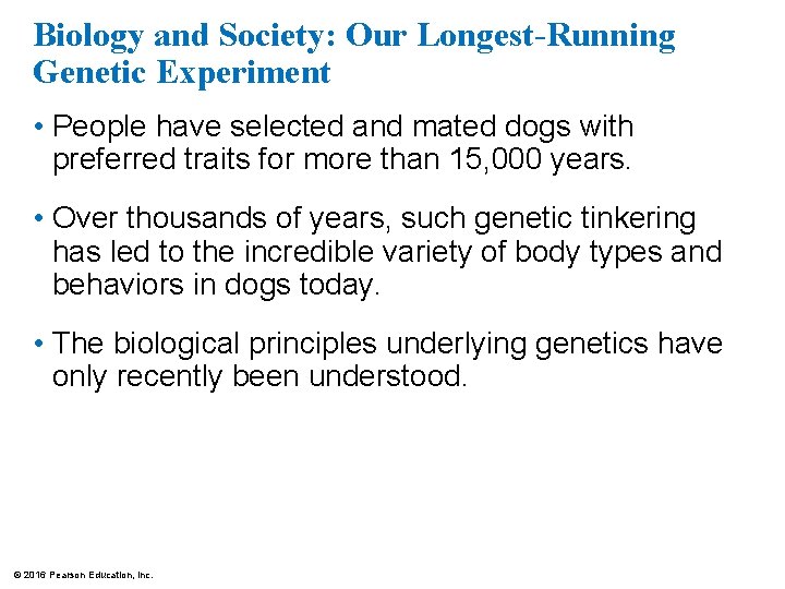 Biology and Society: Our Longest-Running Genetic Experiment • People have selected and mated dogs