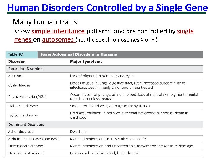 Human Disorders Controlled by a Single Gene Many human traits show simple inheritance patterns