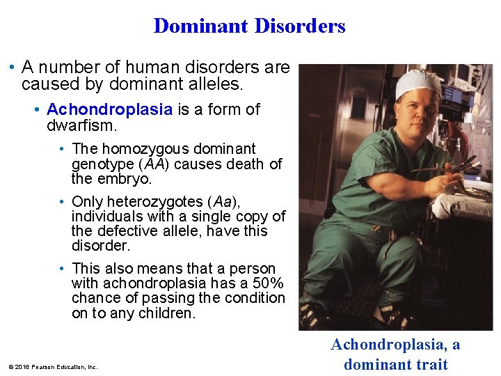 Dominant Disorders • A number of human disorders are caused by dominant alleles. •