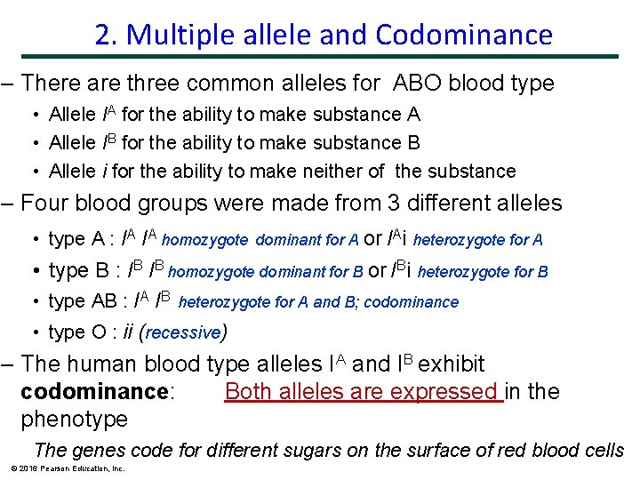 2. Multiple allele and Codominance – There are three common alleles for ABO blood