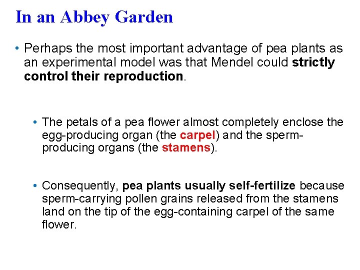 In an Abbey Garden • Perhaps the most important advantage of pea plants as