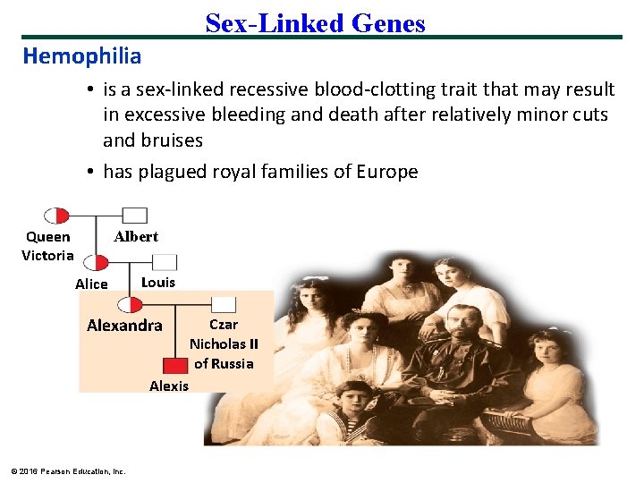 Sex-Linked Genes Hemophilia • is a sex-linked recessive blood-clotting trait that may result in