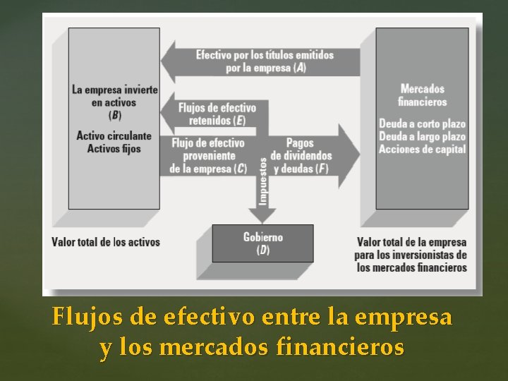 Flujos de efectivo entre la empresa y los mercados financieros Flujos de efectivo entre la empresa y los mercados financieros