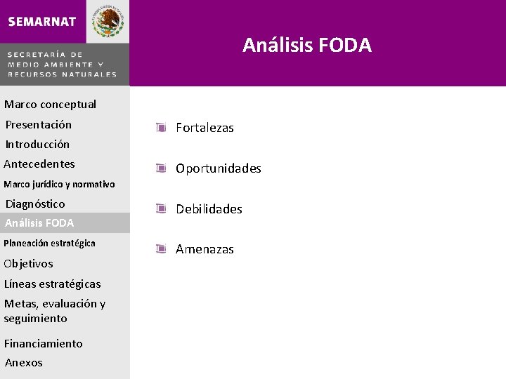 Análisis FODA Marco conceptual Presentación Fortalezas Introducción Antecedentes Oportunidades Marco jurídico y normativo Diagnóstico