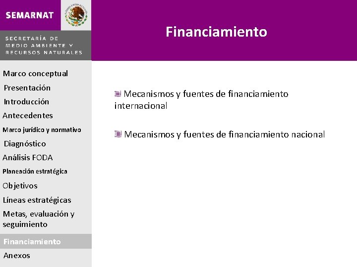 Financiamiento Marco conceptual Presentación Introducción Antecedentes Marco jurídico y normativo Diagnóstico Análisis FODA Planeación