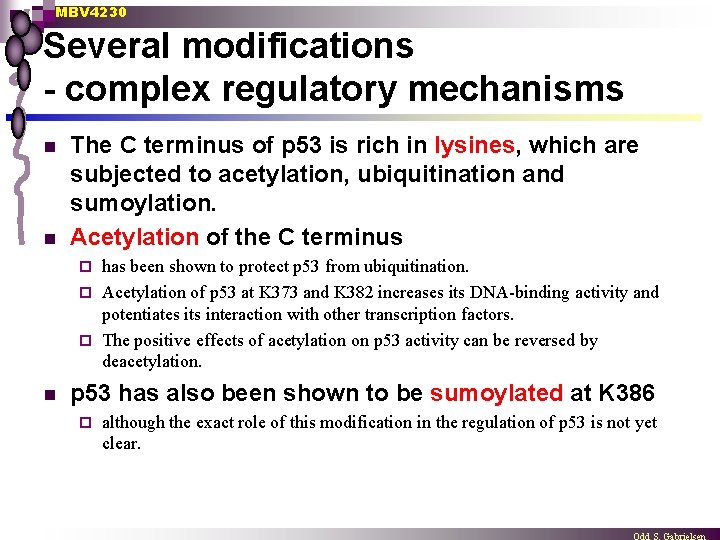 MBV 4230 Several modifications - complex regulatory mechanisms n n The C terminus of