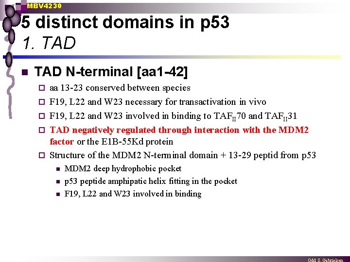 MBV 4230 5 distinct domains in p 53 1. TAD n TAD N-terminal [aa