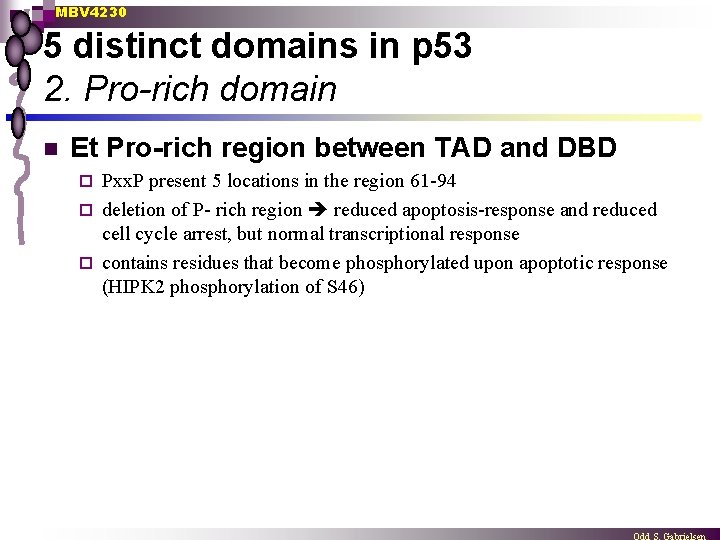 MBV 4230 5 distinct domains in p 53 2. Pro-rich domain n Et Pro-rich