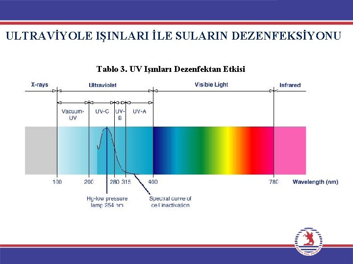 ULTRAVİYOLE IŞINLARI İLE SULARIN DEZENFEKSİYONU Tablo 3. UV Işınları Dezenfektan Etkisi 