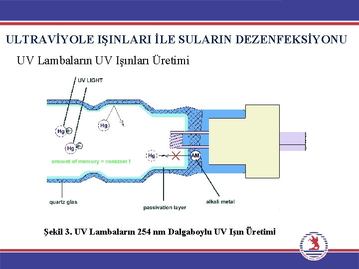 ULTRAVİYOLE IŞINLARI İLE SULARIN DEZENFEKSİYONU UV Lambaların UV Işınları Üretimi Şekil 3. UV Lambaların