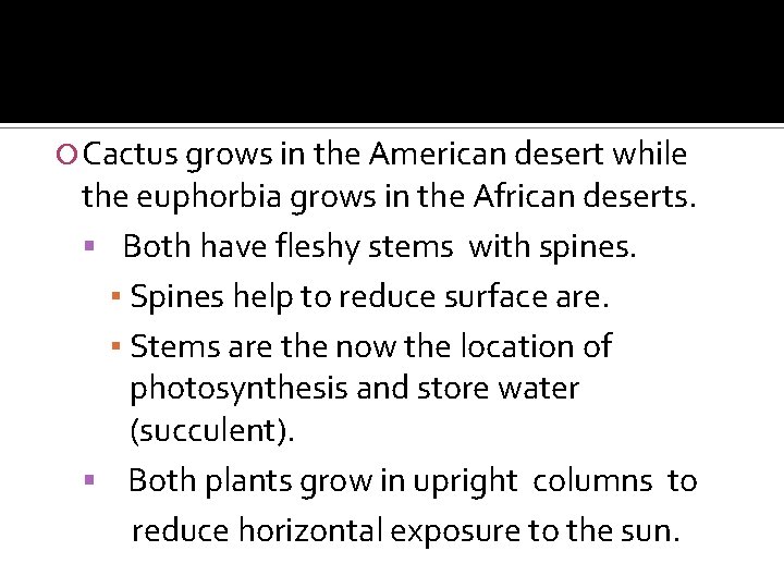  Cactus grows in the American desert while the euphorbia grows in the African