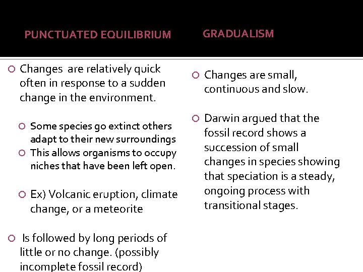 GRADUALISM PUNCTUATED EQUILIBRIUM Changes are relatively quick often in response to a sudden change