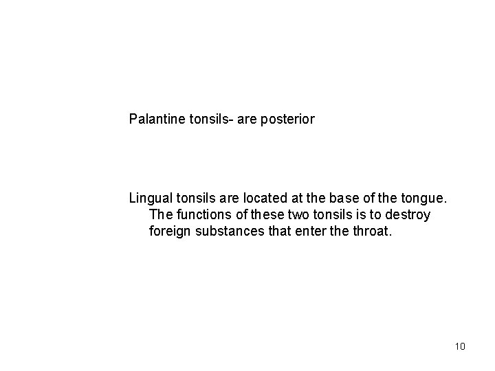 Palantine tonsils- are posterior Lingual tonsils are located at the base of the tongue.