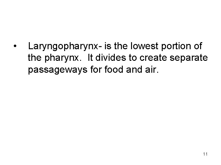  • Laryngopharynx- is the lowest portion of the pharynx. It divides to create
