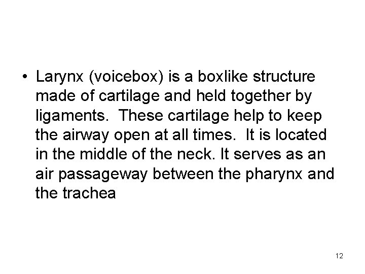  • Larynx (voicebox) is a boxlike structure made of cartilage and held together