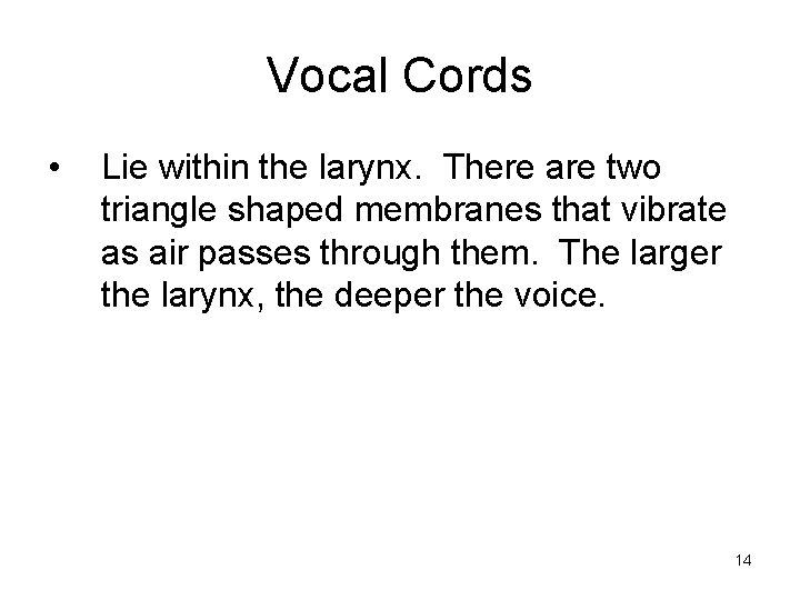 Vocal Cords • Lie within the larynx. There are two triangle shaped membranes that