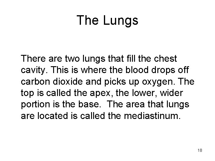 The Lungs There are two lungs that fill the chest cavity. This is where