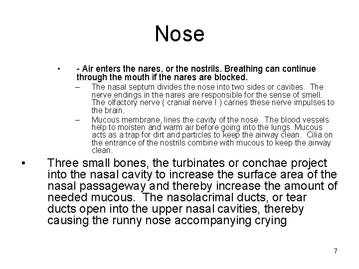 Nose • - Air enters the nares, or the nostrils. Breathing can continue through
