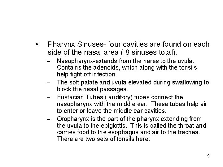  • Pharynx Sinuses- four cavities are found on each side of the nasal