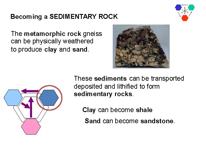 Becoming a SEDIMENTARY ROCK The metamorphic rock gneiss can be physically weathered to produce