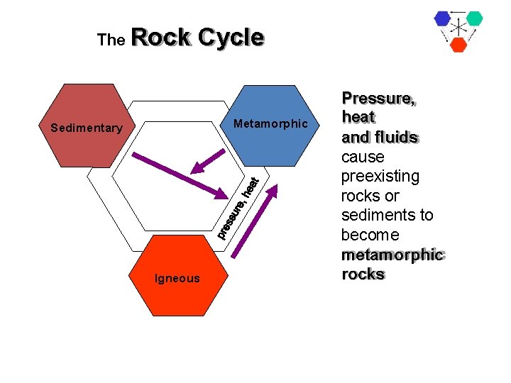 The Rock Cycle Metamorphic Sedimentary Igneous Pressure, heat and fluids cause preexisting rocks or