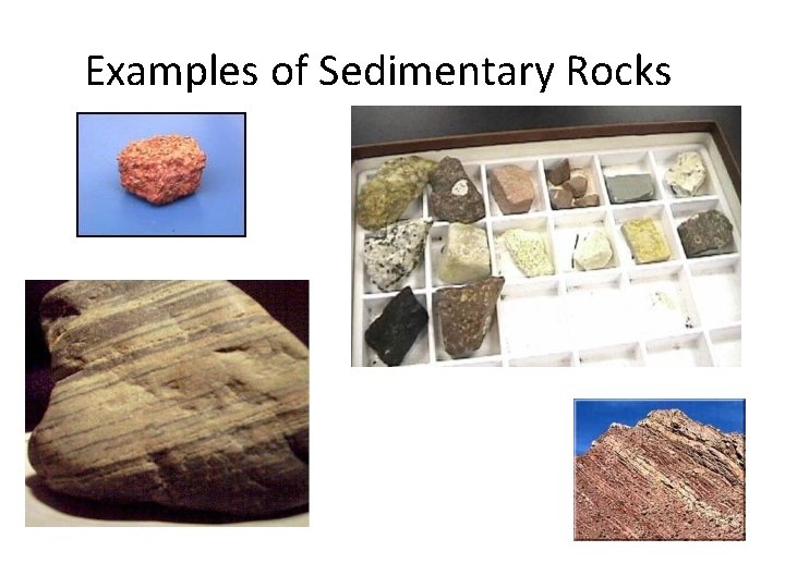 Examples of Sedimentary Rocks 