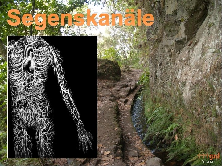Segenskanäle gzd 2014 Segenskanäle gzd 2014