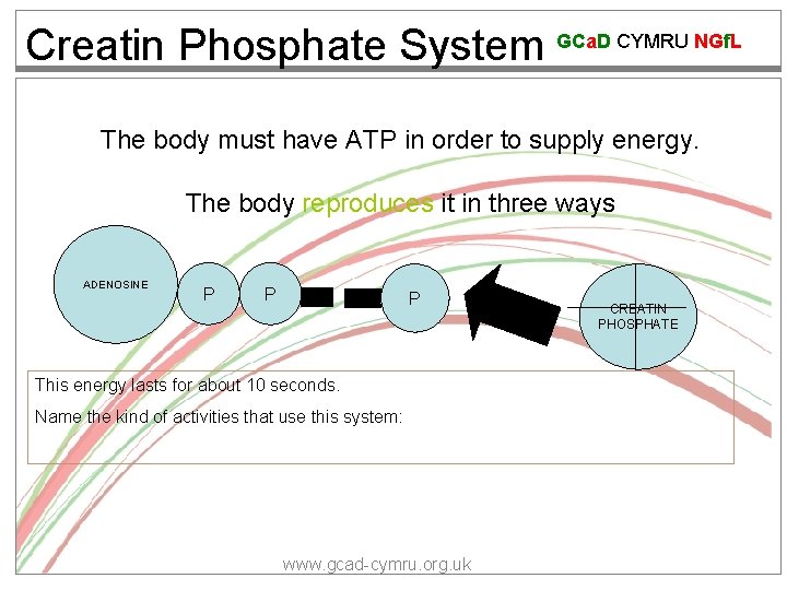 Creatin Phosphate System GCa. D CYMRU NGf. L The body must have ATP in