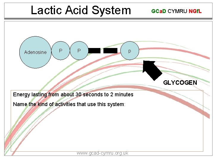 Lactic Acid System Adenosine P P GCa. D CYMRU NGf. L p GLYCOGEN Energy